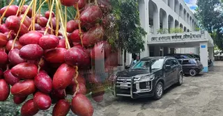 সৌদির উপহার দেয়া খেজুর নিয়ে অপপ্রচার করা হচ্ছে: মৌলভীবাজারের জেলা প্রশাসক